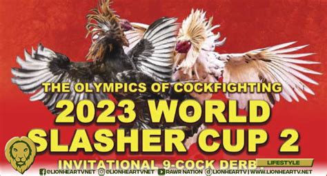 18 entries clash in 2023 WSC 2 grand finals .